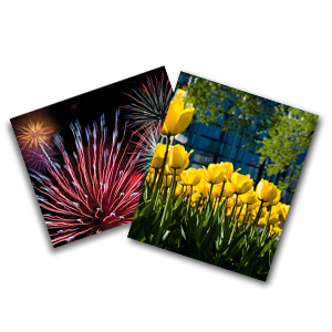 In store photo printing